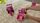 thumbnail-8
