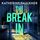 Artikelbild von The Break-In