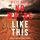 Artikelbild von Nowhere Like This (A Harley Cole FBI Suspense Thriller&mdash;Book 4)