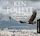Artikelbild von Auf den Schwingen des Adlers