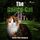 Artikelbild von The Calico Cat