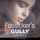 Artikelbild von Fossicker's Gully
