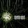 Artikelbild von Into Oblivion (Standard CD Jewelcase)