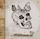 Artikelbild von Best Of