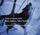 Artikelbild von Animal Music /Tiermusik: Team of Jeremy Roht
