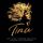 Artikelbild von Various/Original Musical Cast: Tina: The Tina Turner Musical