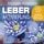 Artikelbild von LEBER AKTIVIERUNG (mit Solfeggio-Frequenz 528 Hertz)