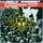 Artikelbild von Operation: Mindcrime