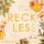 Artikelbild von Reckless