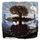 Artikelbild von Equilibrium