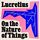 Artikelbild von On the Nature of Things