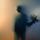 Artikelbild von Bloom