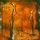 Artikelbild von Burden Of Grief: Fields Of Salvation