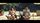 thumbnail-11