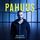 Artikelbild von Pahuus