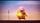 thumbnail-13