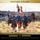 Artikelbild von France At War: On the Frontier of Civilization