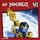 Artikelbild von LEGO Ninjago (CD 41)