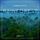 Artikelbild von Ambience - Rainforest