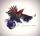 Artikelbild von Benighted Soul: Kenotic