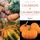 Artikelbild von Calabazas y calabacines - cultivo, cuidados y condejos pr&aacute;cticos