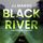Artikelbild von Black River