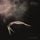 Artikelbild von Other Worlds