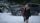thumbnail-13