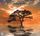 Artikelbild von Mirrors of time: Tribute Reflections