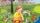 thumbnail-8