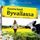 Artikelbild von Kuuma kes&auml; Byvallassa