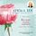 Artikelbild von You Can Create an Exceptional Life