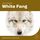Artikelbild von White Fang