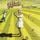 Artikelbild von Nursery Cryme