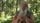 thumbnail-10