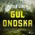 Artikelbild von Gul Ondska