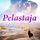 Artikelbild von Pelastaja