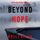 Artikelbild von Beyond Hope (A Reese Link Mystery&mdash;Book Six)