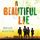 Artikelbild von A Beautiful Lie