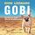 Artikelbild von Gobi. Un piccolo cane con un grande cuore