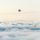 Artikelbild von All Good As It Is