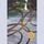 Artikelbild von The Line of Beauty