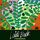 Artikelbild von Forevergreen