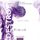 Artikelbild von DESTROY the hidden secrets (DESTROY-Reihe 1)