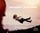 Artikelbild von The Beauty in Between