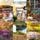 Artikelbild von A Lacey Doyle Cozy Mystery Bundle: Murder in the Manor (#1), Death and a Dog (#2), Crime in the Caf&eacute; (#3), Vexed on a Visit (#4), Killed with a Kiss (#5), and Perished by a Painting (#6)