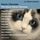 Artikelbild von Remix/Remodel-The Vince Clarke Remixes (2CD)
