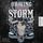 Artikelbild von Braving the Storm