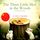 Artikelbild von The Three Little Men in the Woods