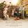 Artikelbild von Downton Abbey: A New Era